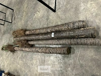 4 beklede houten palen - afbeelding 2 van  6