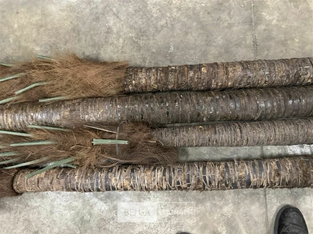 4 beklede houten palen - afbeelding 4 van  6