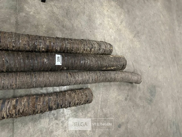 4 beklede houten palen - afbeelding 5 van  6