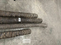 4 beklede houten palen - afbeelding 5 van  6