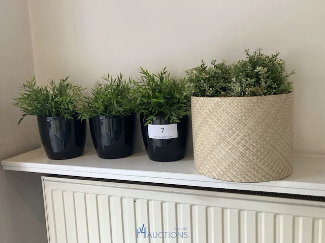 4 bloempotjes met nepplant - afbeelding 1 van  2