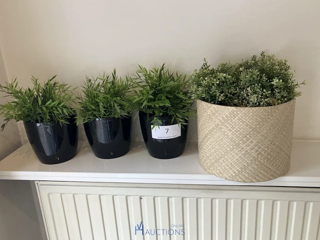 4 bloempotjes met nepplant - afbeelding 2 van  2