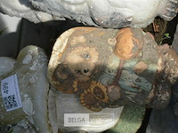 4 decoratieve tuinbeeldjes - afbeelding 4 van  4