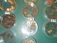 4 dozen embleems van soldaten en andere - afbeelding 1 van  1