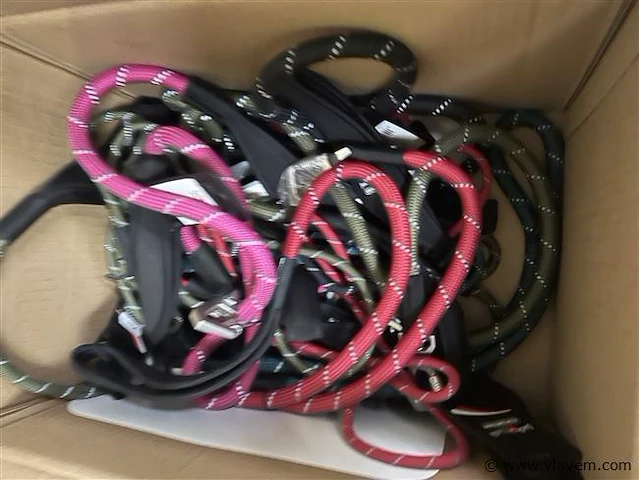 4 dozen inh. div. huisdieren toebehoren - afbeelding 2 van  5