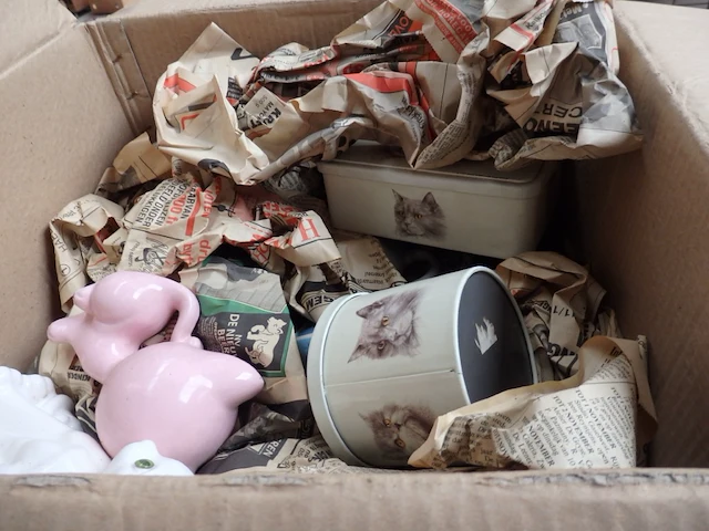 4 dozen katten + andere dieren - afbeelding 2 van  3