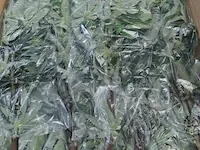 4 dozen kunstofplanten 60cm hoog - 10 stuks per doos - afbeelding 2 van  4