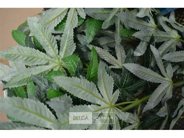 4 dozen kunstofplanten 60cm hoog - 10 stuks per doos - afbeelding 3 van  4