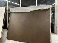 4. exclusieve nieuwe tafelbladen/poten sc 1001-1100 (529/2025) 4. exclusieve nieuwe tafelbladen/poten sc 1001-1100 (529/2025)