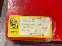 4 fette schijffrezen - afbeelding 3 van  5