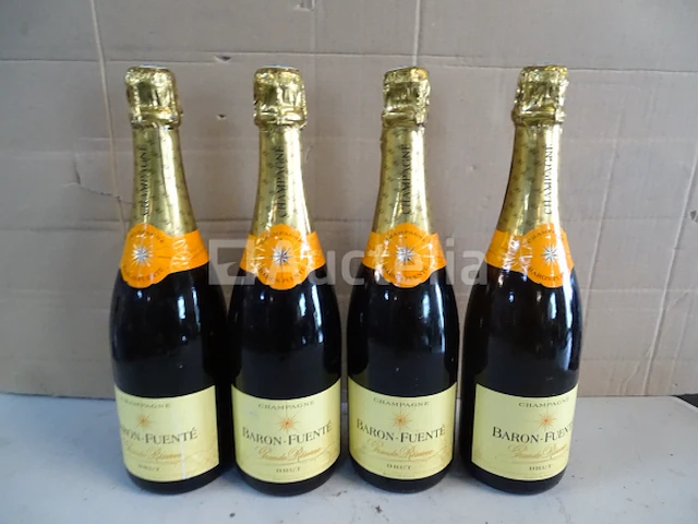 4 flessen champagne brut baron fuente grande reserve - afbeelding 1 van  3