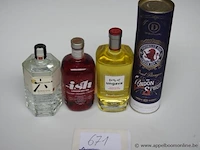 4 flessen diverse gin wo ungava