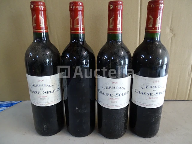 4 flessen haut médoc l'ermitage de chasse-spleen 1996 - afbeelding 1 van  3