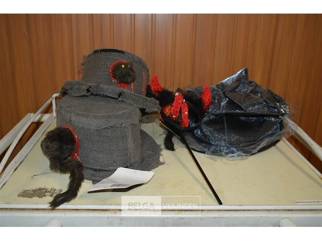 ±4 halloween hoeden en diadeem - afbeelding 1 van  4
