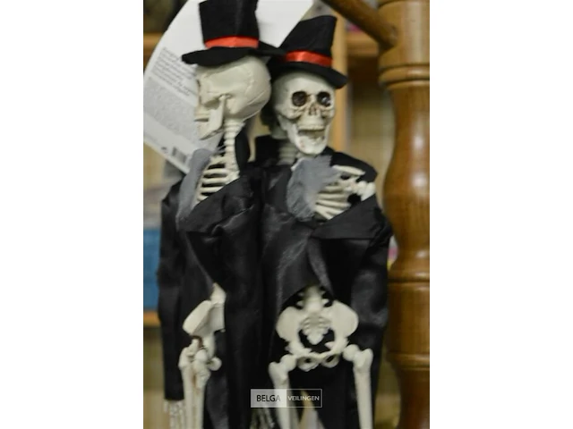 4 halloween skeletten - afbeelding 3 van  4