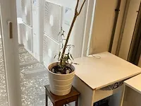 4 houten tafeltjes - afbeelding 3 van  3