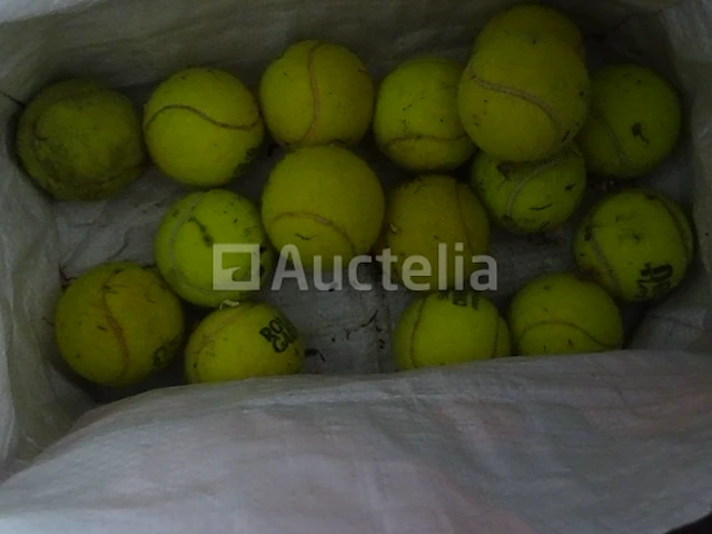 4 intex opblaaskussens, 16 tennisballen - afbeelding 3 van  4