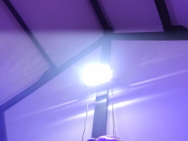 4 led stroboscopen ayra flash 60 led + 1 halogeen stroboscoop - afbeelding 8 van  8