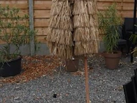 4 parasols - afbeelding 2 van  3