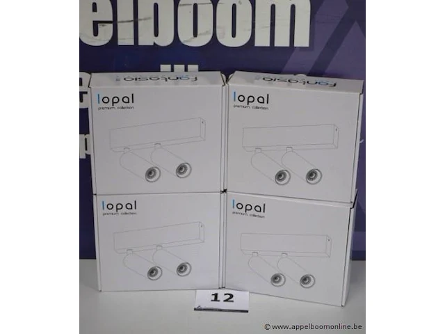 4 plafondlampen vv 2 led spots fantasia lopal - afbeelding 1 van  2