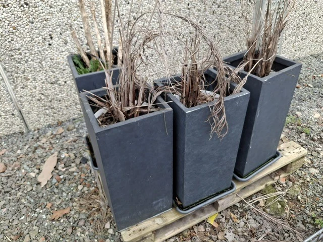 4 plantenbakken - afbeelding 4 van  4