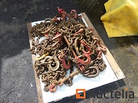4 ratel sjorkettingen - afbeelding 3 van  3