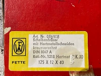 4 schijffrezen fette - afbeelding 4 van  4