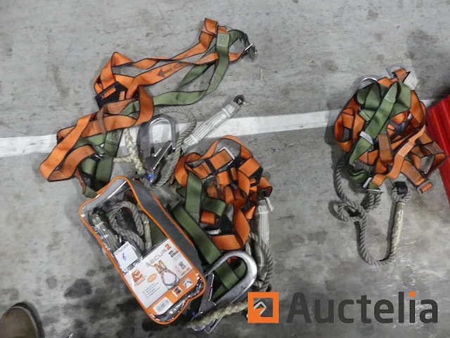4 securx secur 2 veiligheidsharnassen - afbeelding 7 van  7