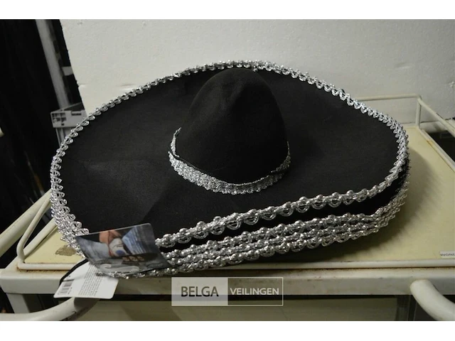 4 sombrero hoeden - afbeelding 2 van  3