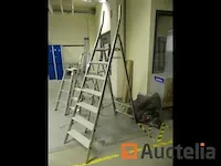 4 trapladders
