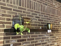 4 wandplanken - afbeelding 2 van  5