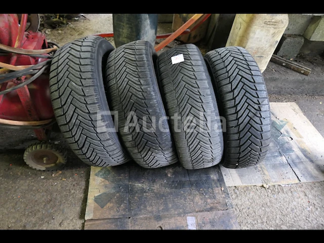 4 winter autobanden - afbeelding 1 van  5