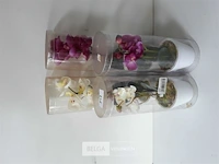 4 x bloem in potje mix 20 en 30 cm - afbeelding 1 van  2