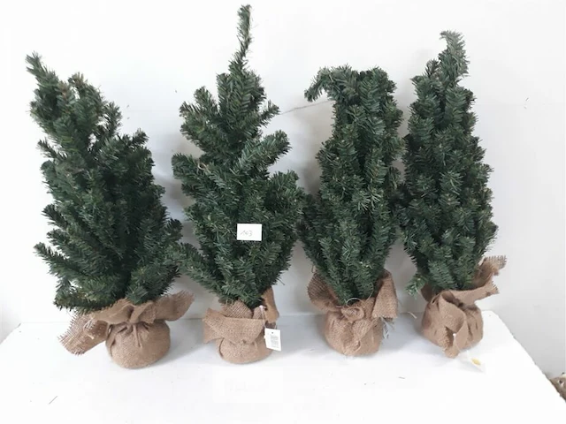 4 x kerstboom met kluit 60 cm - afbeelding 1 van  3