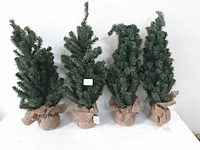 4 x kerstboom met kluit 60 cm - afbeelding 1 van  3
