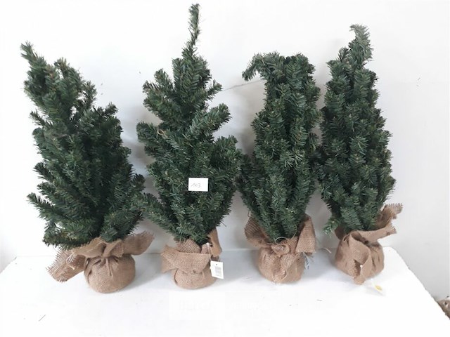 4 x kerstboom met kluit 60 cm - afbeelding 1 van  3