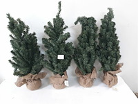 4 x kerstboom met kluit 60 cm - afbeelding 1 van  3
