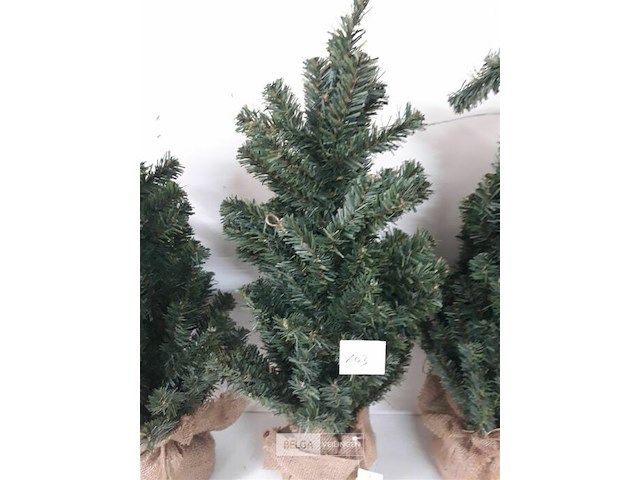 4 x kerstboom met kluit 60 cm - afbeelding 3 van  3