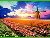 4 x puzzel - 1000 stuks - puzzle passion - afbeelding 5 van  5