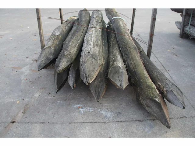 40x acacia paal dia 16/18 - afbeelding 4 van  7
