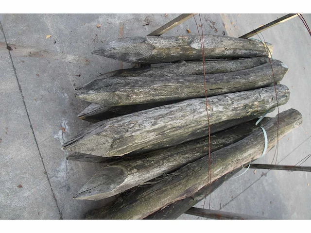 40x acacia paal dia 16/18 - afbeelding 5 van  7