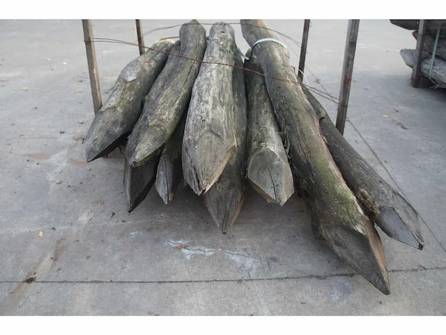 40x acacia paal dia 16/18 - afbeelding 3 van  6