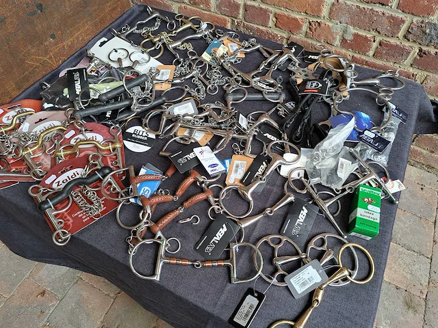 42x bitten,diverse merken - afbeelding 1 van  1