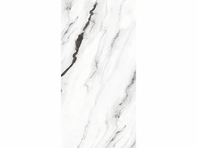 43,20m² - 60x120cm - panda white glossy gerectificeerd - afbeelding 2 van  3