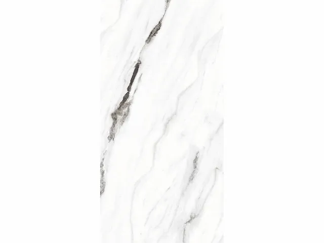 43,20m² - 60x120cm - panda white glossy gerectificeerd - afbeelding 3 van  3