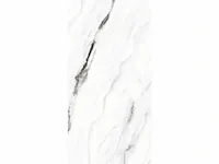 43,20m² - 60x120cm - panda white glossy gerectificeerd - afbeelding 3 van  3