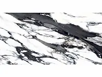 43,20m² -60x120cm -panda statuario glossy gerectificeerd - afbeelding 1 van  2