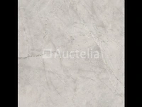 43,20m² atlantis abk 60x120 gerectificeerd, steeneffect, vloer en muur - afbeelding 1 van  2