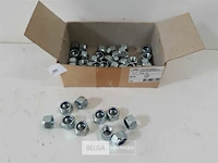 45 x borgmoer verzinkt m 16 - afbeelding 2 van  3