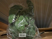 ±48 dozen plastic bloemen - afbeelding 2 van  3